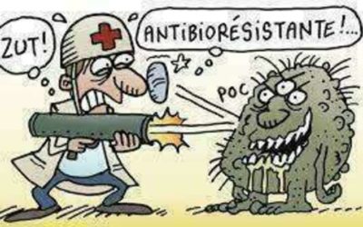 L’antibiorésistance et les huiles essentielles