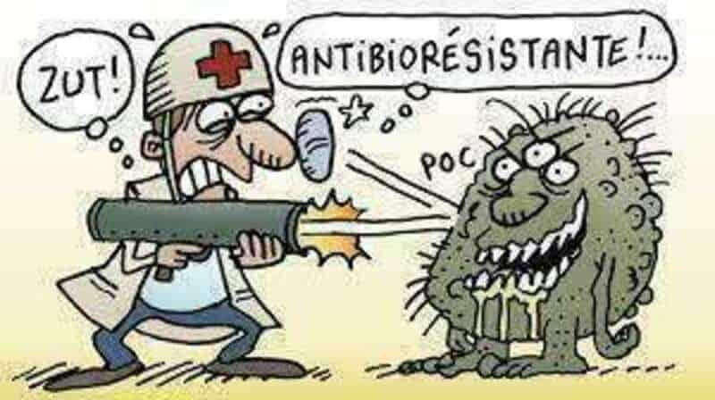 Blog_Antibioresistante_01 Antibioresistante